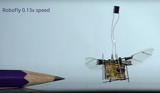 Latest Robot Bugs! | The National Robotics Education Foundation